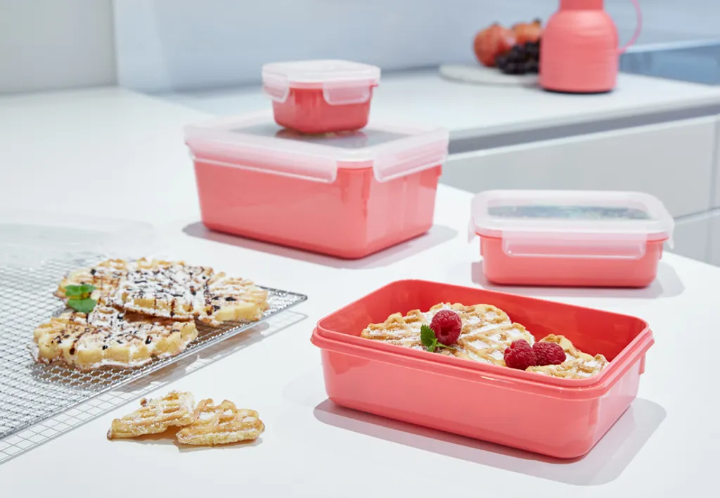 Emsa CLIP & CLOSE Colour Edition Grün 4er Set (0,2 / 0,55 / 0,8 / 2,2) – Bild 7