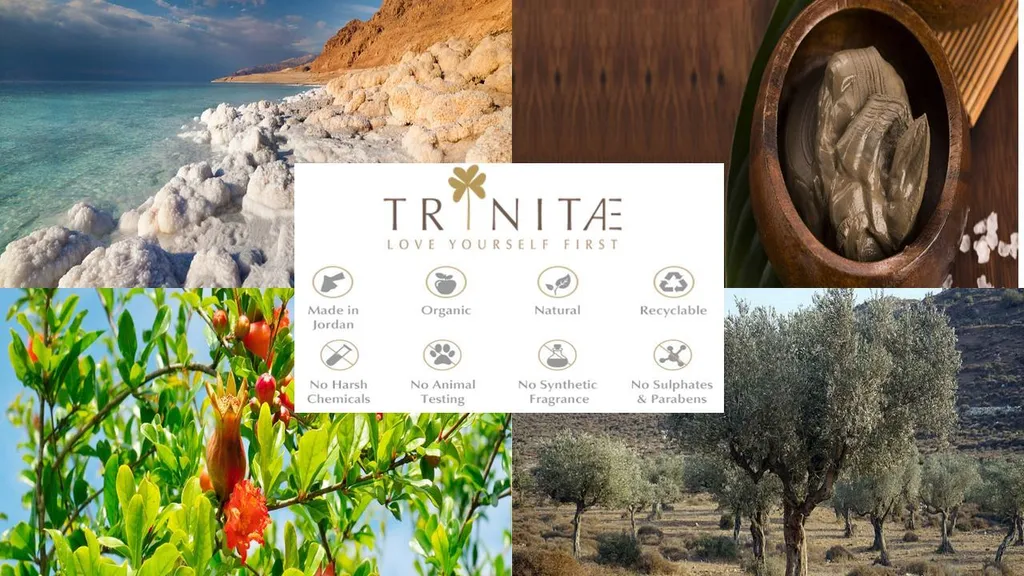 Villeroy & Boch 12 X Design Naif Frühstücksteller Arche Noah Vorteilsset 12 X Art. Nr. 1023372643 Und Gratis 1 Trinitae Körperpflegeprodukt – Bild 6