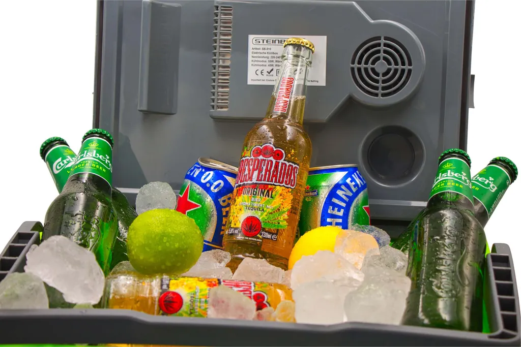 Steinborg Kühlbox 30 Liter | Warmhaltebox | Praktischer Tragegriff | Eco-Modus | 12 V/ 230 V Stromversorgung – Bild 8