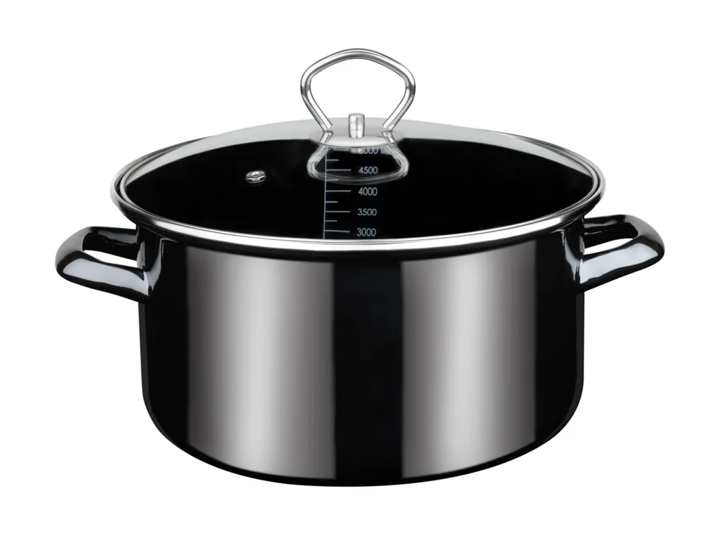 GSW Fleischtopf Profi-Black-Star Mit Glasdeckel 24cm